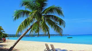 Parasol (파,라,솔)