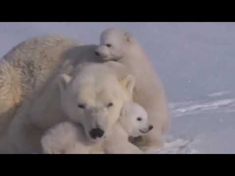 AR-M - I want to be together