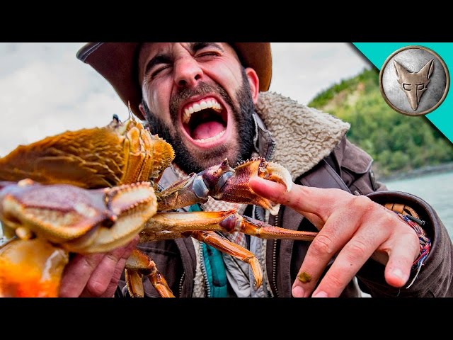 Video Pronunciation of Dungeness in English