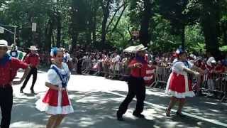 Puerto Rican Day Parade~NYC~2013~Ballet Folklorico de Vega Alta~NYCParadelife
