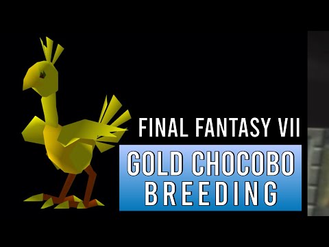 Final Fantasy 7 Gold Chocobo Breeding guide: 15 easy steps to breed a Gold Chocobo