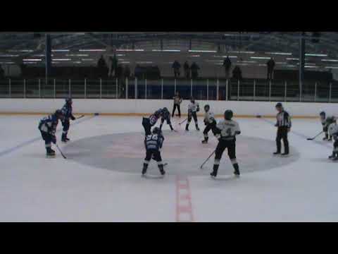 2020-02-29 HJK Green - GrIfk