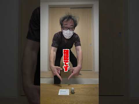 みんなの小屋　もりやさんの投稿画像