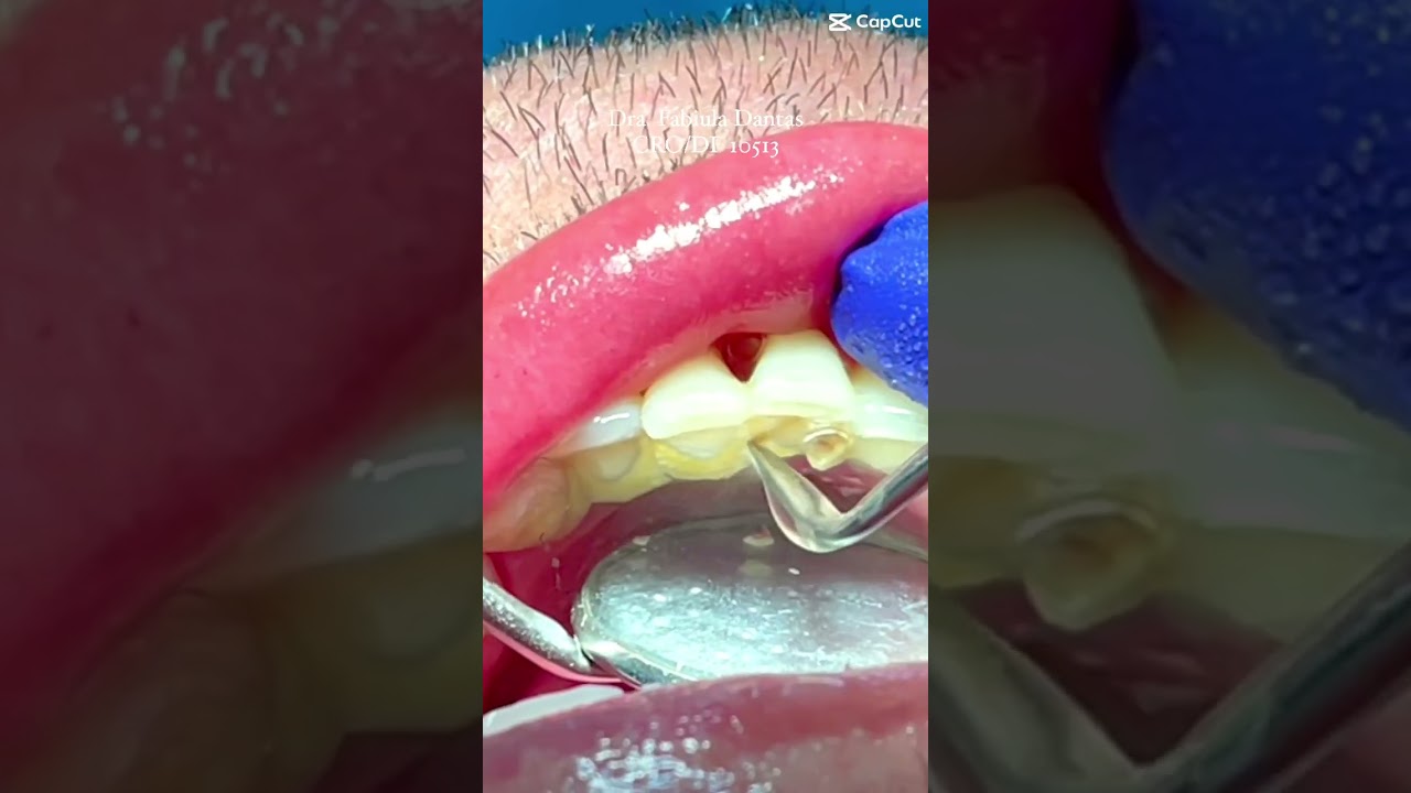 Fabiula Dantas Barbiero-18