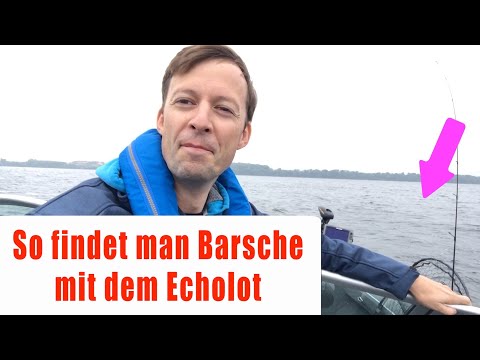 ► ►Barsche im Freiwasser finden ► So angelt man Barsche mit Jan Pusch ★★★★★ (2023 Update)