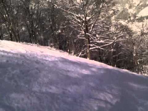 Powder run on Tangram side of Madarao