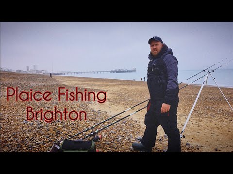 Sea Fishing UK | Plaice Fishing | Brighton