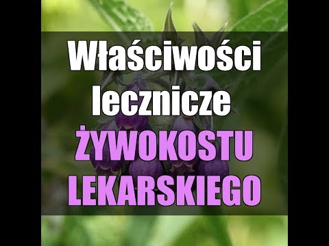 Czy koślawy jest korygowany u dzieci Valgusstop śmietany kość opinii Foot