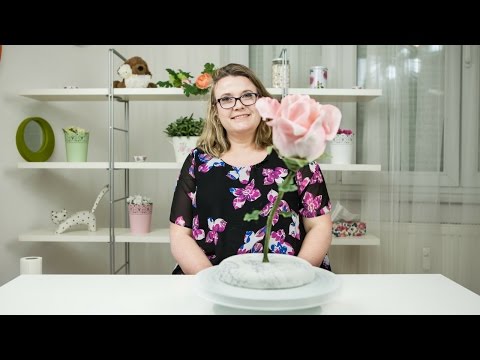 How to make a Rose Gravity Defying Cake with Yvette Marner