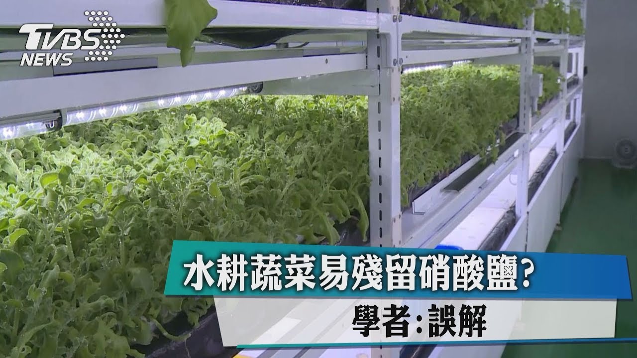 水耕蔬菜易殘留硝酸鹽? 學者:誤解