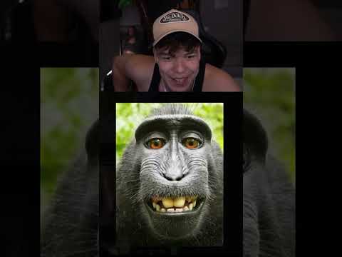 Marco bewertet Zuschauer glow ups #2