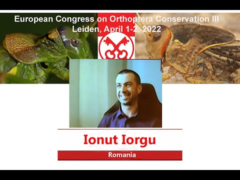7. Ionut Iorgu: Crickets and their secrets: Myrmecophilus acervorum is not always parthenogenetic