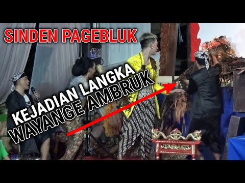 PERCIL CS TERBARU 2022 LUCU Ngakak VIRAL WAYANG AMBRUK Bareng Lusi Brahman