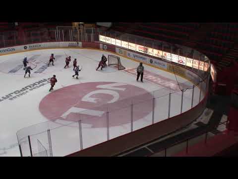 Ässät Wild - RNK Blue Knights 2019.01.12