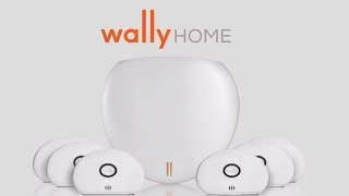 Wally Home Hazard Sensor