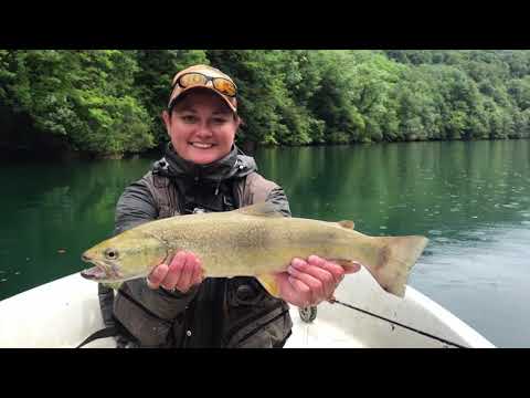 Flyfishing in the Soča valley 2018
