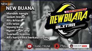 Download lagu FULL ALBUM NEW BUANA TERBARU 2021|| lagu terbaru new buana mp3