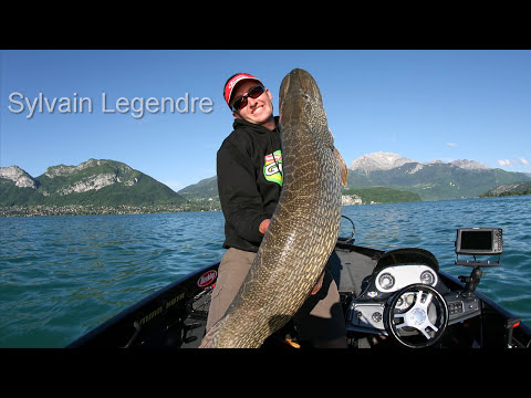 download lagu mp3 mp4 Poisson Lac D Annecy, download lagu Poisson Lac D Annecy gratis, unduh video klip Poisson Lac D Annecy