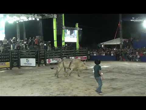 Rodeio Cia Sândyla - Porto de Moz - PA (SE INSCREVE NO CANAL)