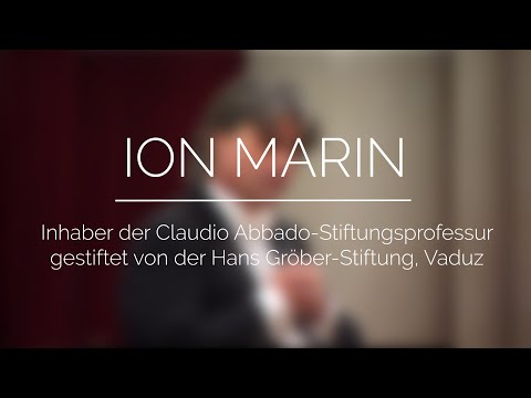Ion Marin - Stiftungsprofessur