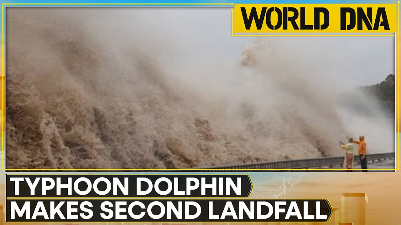 Typhoon Dolphin Hits China: Highest Alert In Zhejiang, Air Services Hit | WION World DNA