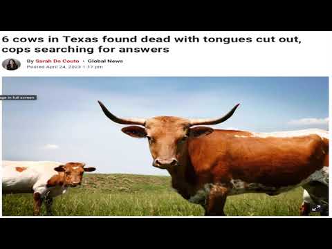 CATTLE MUTILATION TEASER TRAILER!!