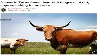 CATTLE MUTILATION TEASER TRAILER!!