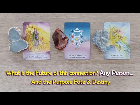 What is the future of this connection🙏🏻❤️⚡very detailed information🙏🏻#timelessreading
