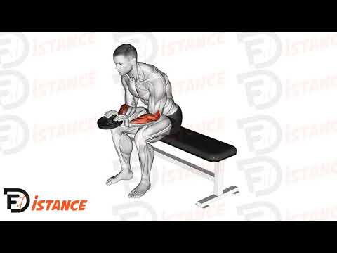 Exercice Flexion des poignets inversée assise avec disque