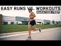Easy Runs Vs. Workouts & Our Upgraded Personal Gym!