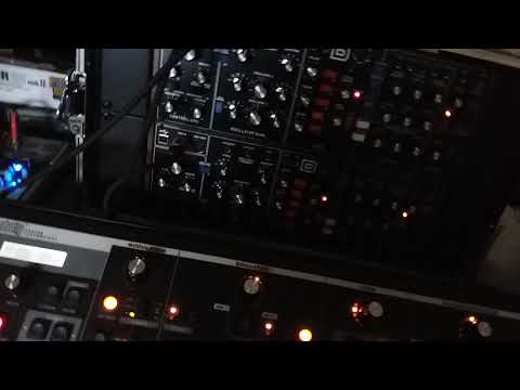 Moog little phatty vs 2 model D's