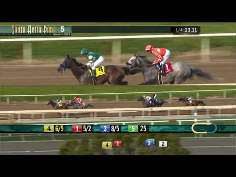 Tiznow Stakes - March 3, 2019