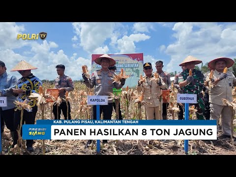 KAPOLDA KALTENG PANEN RAYA JAGUNG KUARTAL III DUKUNG KETAHANAN PANGAN