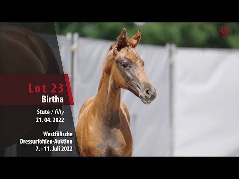 Dressurfohlen-Auktion Lot 23 Birtha Stute v. By your Side - Floriscount