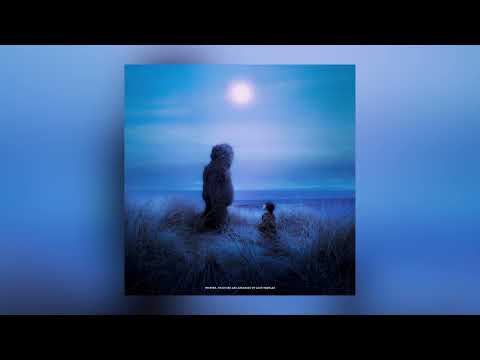 wild flower (official audio)