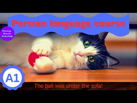 A1 🌱  A Cat Named Maloos | Easy Farsi Listening Practice | Learn Persian with Stories #easypersian