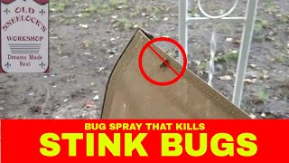 Bug Spray That Kills Stink Bugs