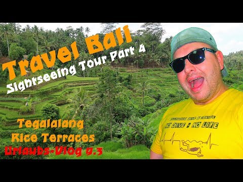 TRAVEL BALI - Magical Tegalalang Rice Terrace Ubud 🌴 - Sightseeing Part 4 - Indonesien 2018