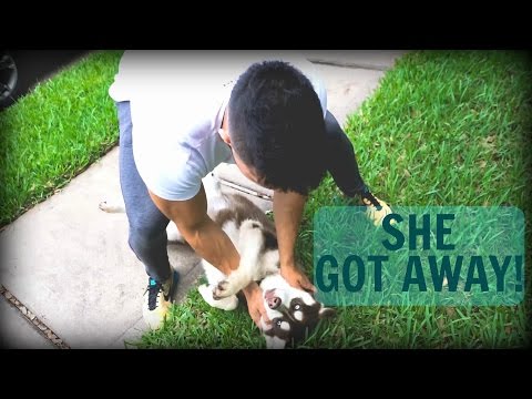 She Got Away! | Summer Shredding Episode 18
