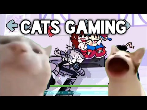 Vibing cat VS Pop cat ( Friday night funkin ) #3