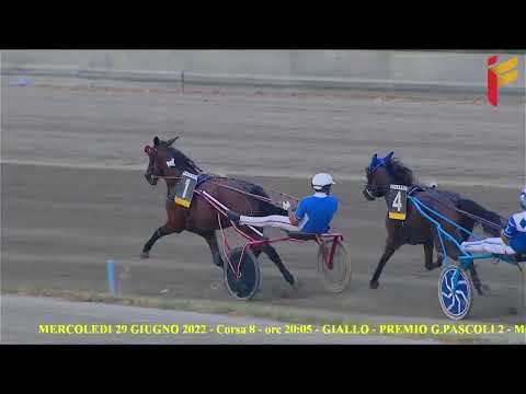 VIII Corsa del 29 giugno 2022 - 5 Anni ed oltre - Metri 2000 - Aspiranti allievi