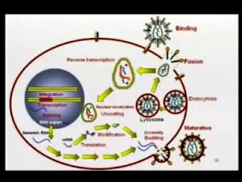 3.27. Viral Chemotherapy - Medical Microbiology