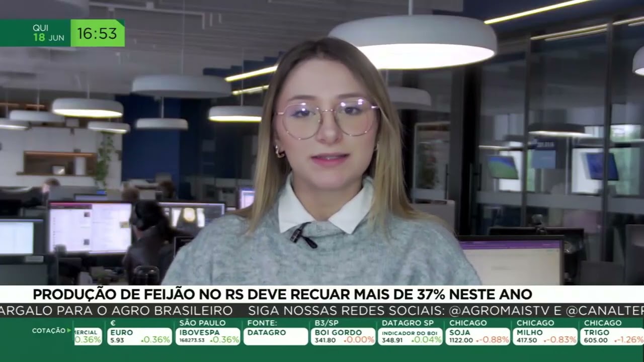 Produção de feijão no RS deve recuar mais de 37% ao ano