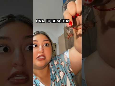 SE METIÓ UNA CUCARACHA VOLADORA A MI HABITACIÓN😩🪳#humor #shortsviral #carolatv #comedy