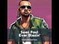 Sean Paul Ever Blazin Federico Romanzi Remix