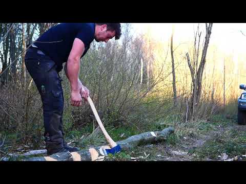 New montreal bucking hornbeam