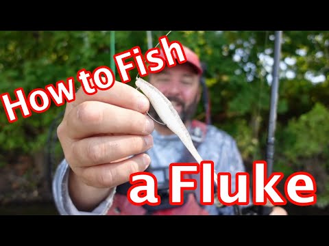 How To Fish A Fluke - An Easy Guide To Catching Bass