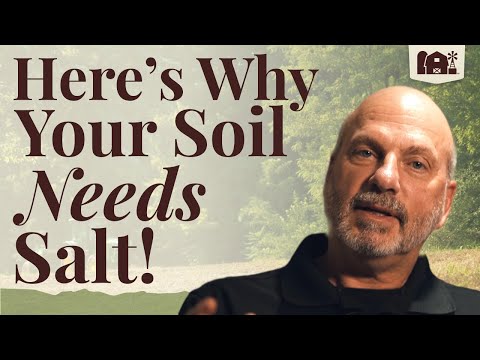 How can Redmond Salt benefit your soil and plants?