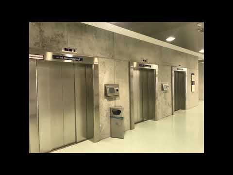 Thank You Uniklinikum Würzburg - From Oink For Donkey