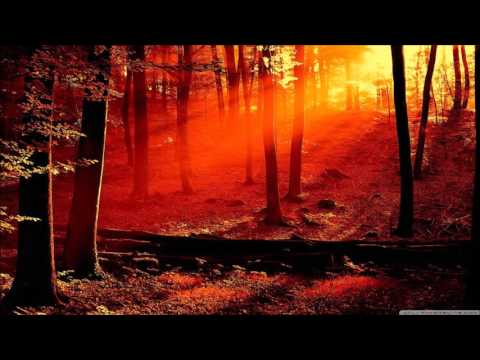 Joey Dale vs. Michel Zitron - Epsilon Lights [SergiuB Mashup]